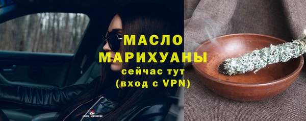 гидра Няндома