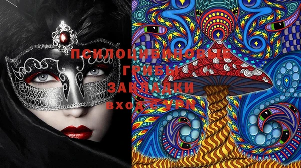 apvp Апатиты